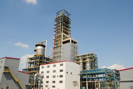 塑料廠成功開發(fā)雙峰聚乙烯新產(chǎn)品，技術(shù)突破引領(lǐng)行業(yè)升級