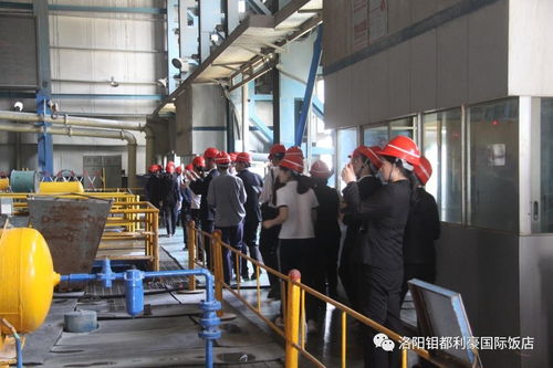 對標先進拓思路，鉬都利豪飯店管理人員及先進員工代表赴集團公司參觀學習酒店管理經(jīng)驗